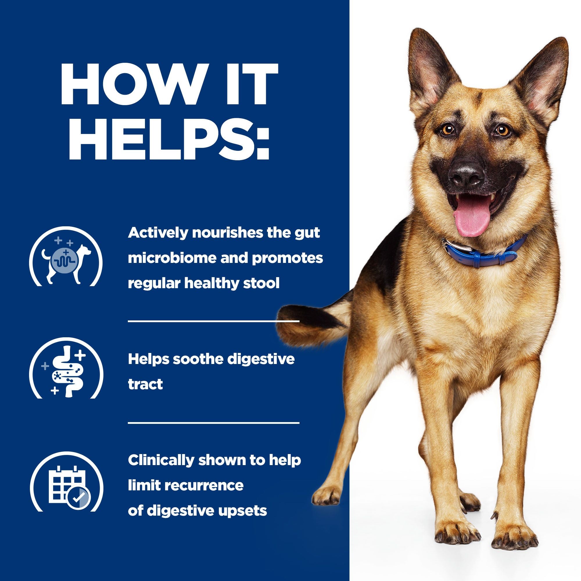  Hill's Prescription Diet Gastrointestinal Biome Dog Food - Tins
