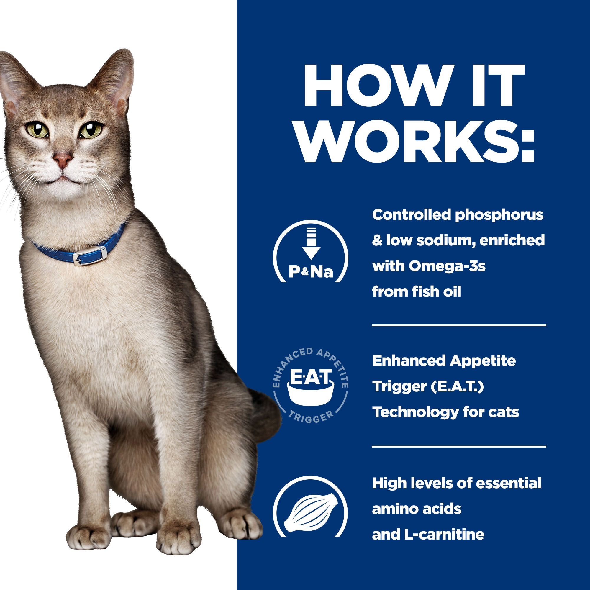  Hill's K/d Kidney Care - Prescription Diet - Feline - Meal Pouch