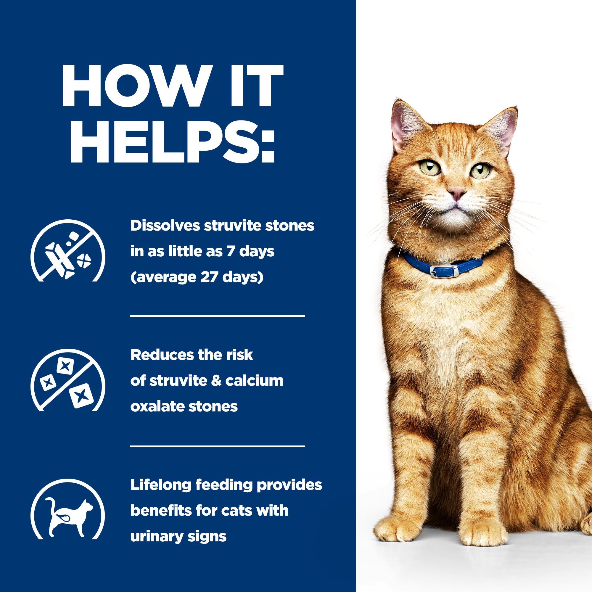  Hill's C/d Multicare - Prescription Diet - Feline - Meal Pouch