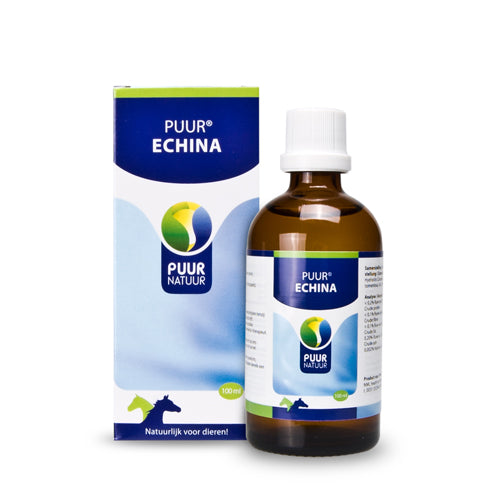  Puur Echina - Horse / Pony