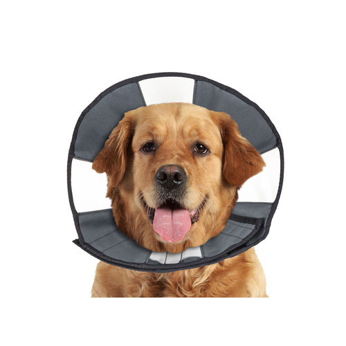  ZenPet Zen Collar