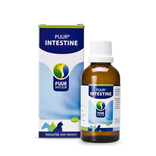  Puur Intestine