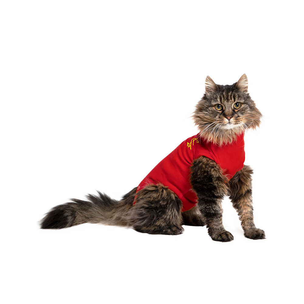  Medical Pet Shirt Cat