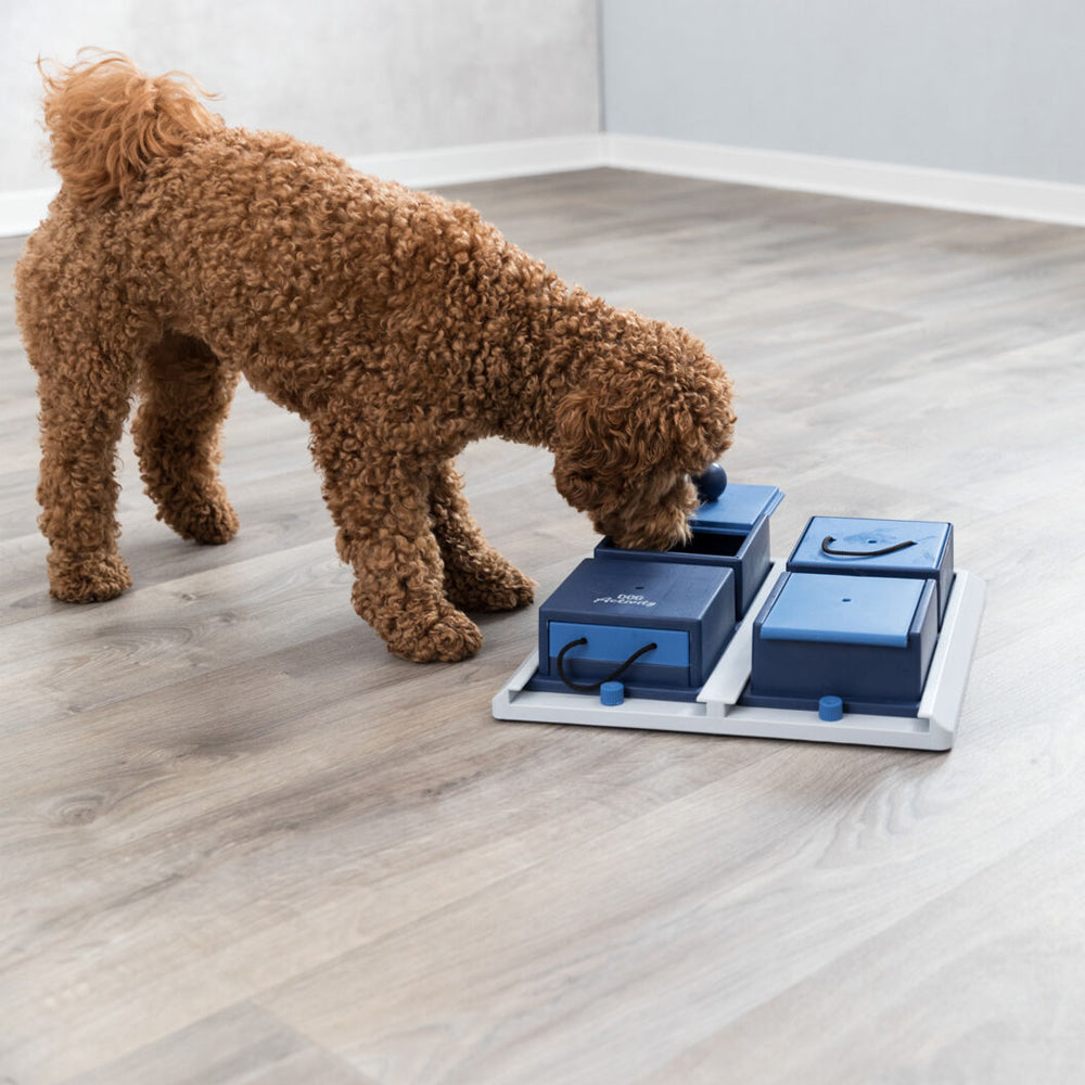  Trixie Dog Activity Poker Box