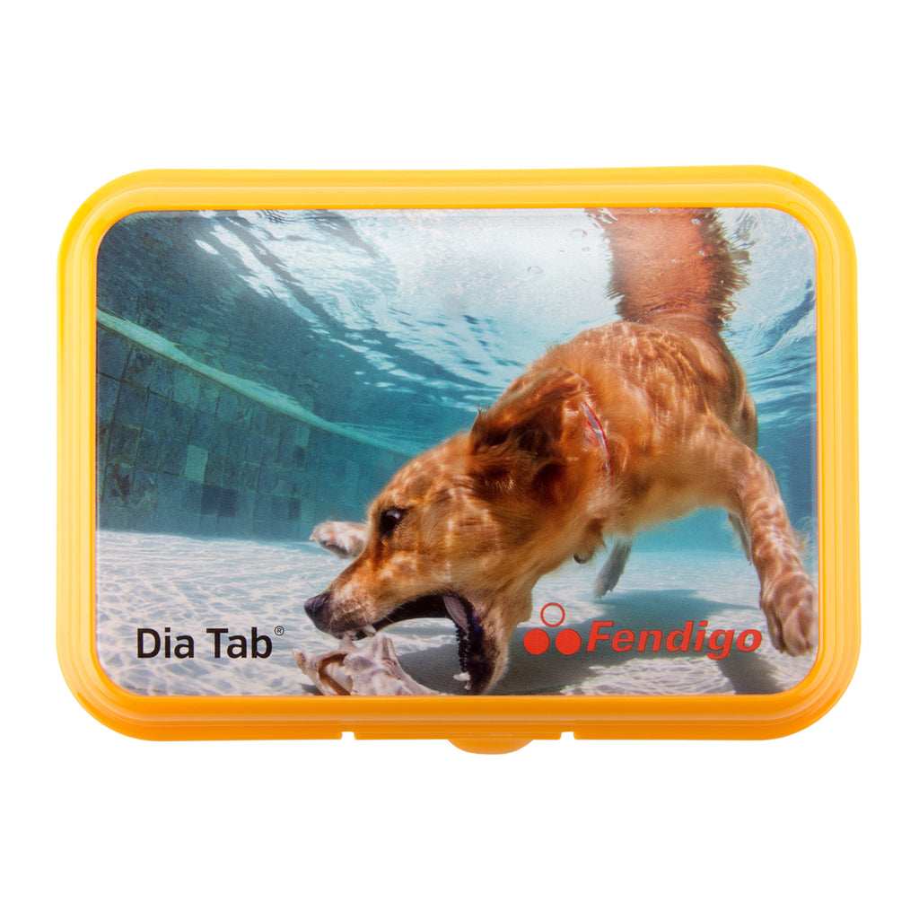  Dia Tab