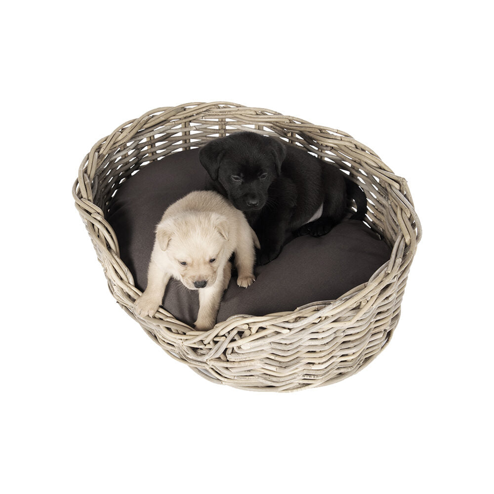  51 Degrees North Rattan Basket