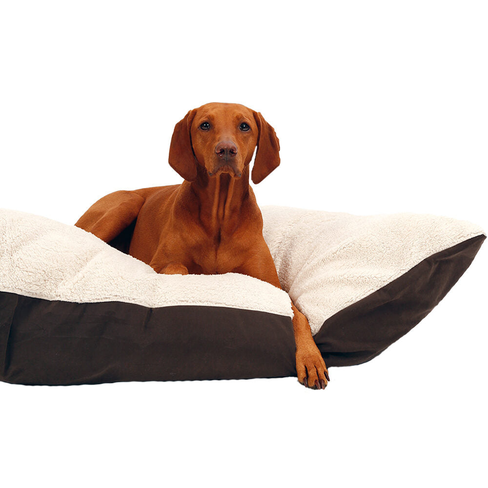  51 Degrees North Sheep Pillow 