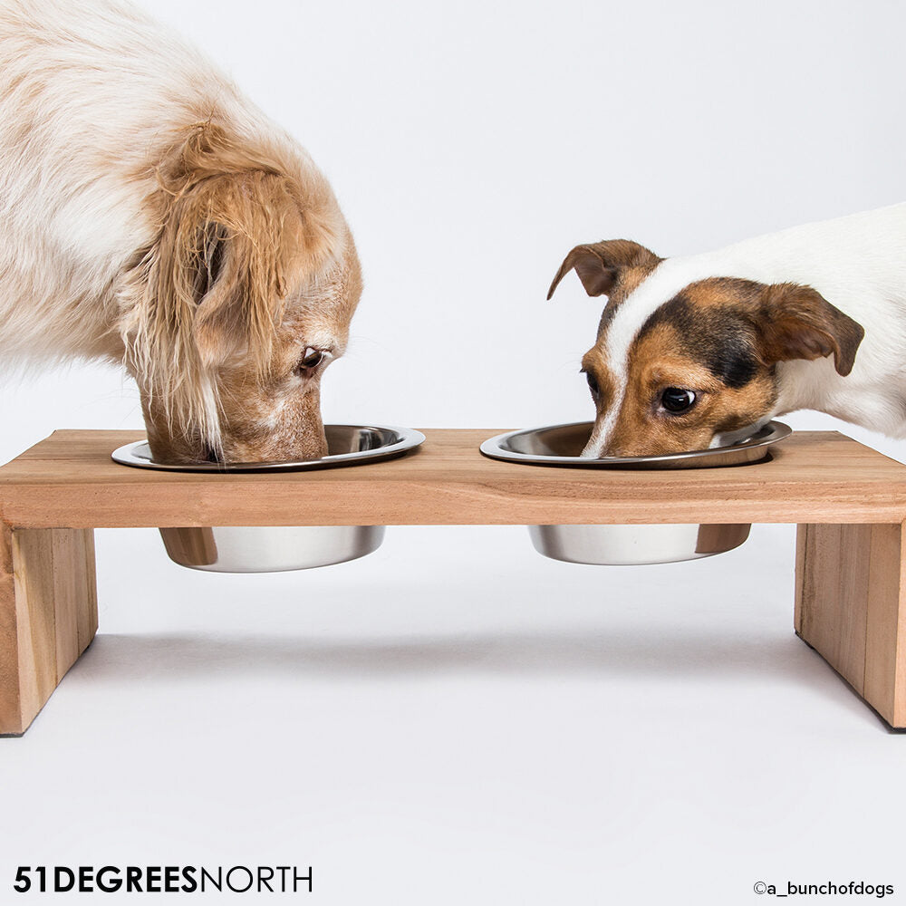  51 Degrees North Food Bowl Teak High