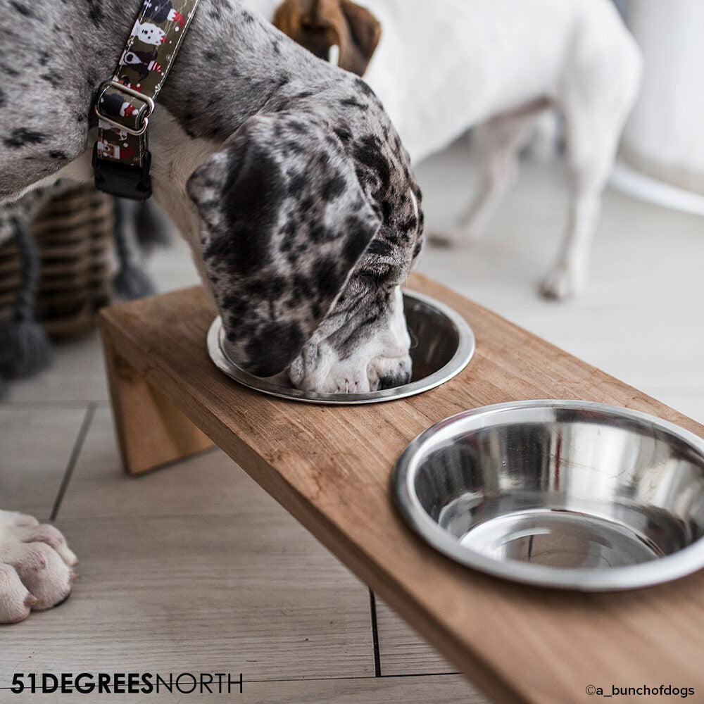  51 Degrees North Food Bowl Teak High