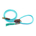  DWAM Dog Lead Turquoise