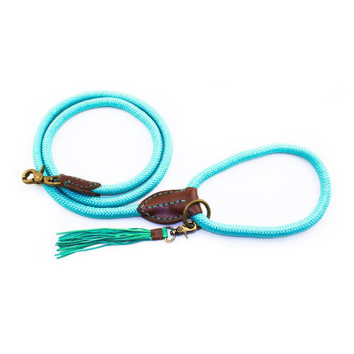  DWAM Dog Lead Turquoise