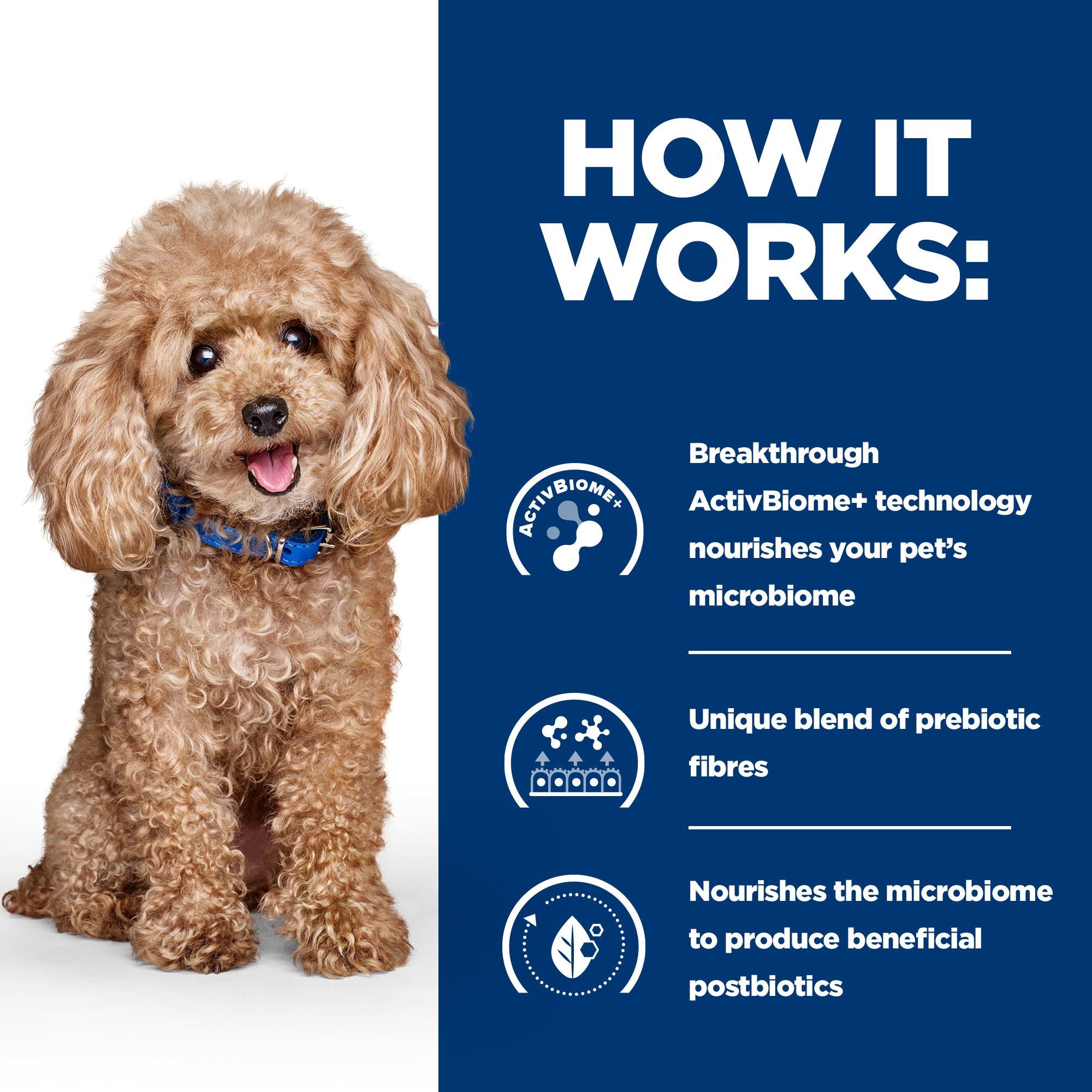  Hill's Prescription Diet Gastrointestinal Biome - Canine - Mini 