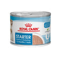  Royal Canin Starter Mousse Mother & Babydog - Dog Food