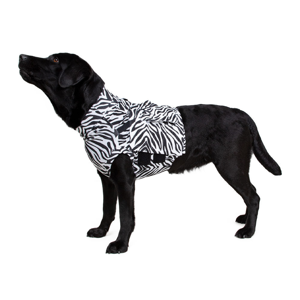  Medical Pet Top Shirt - Zebra Print