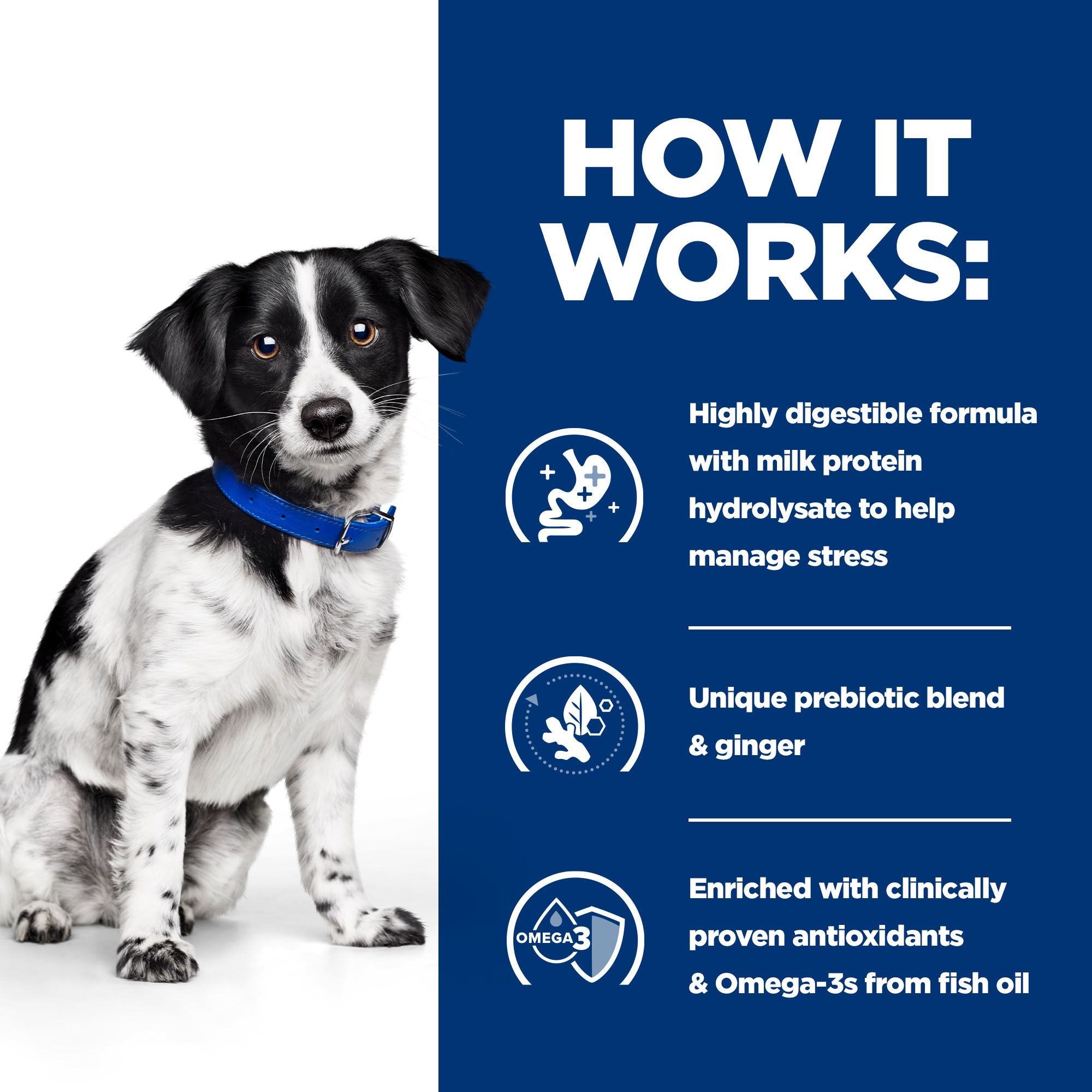  Hill's I/d Stress Mini - Digestive Care - Prescription Diet - Canine