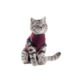  Jacketz Medical Bodysuit Cat