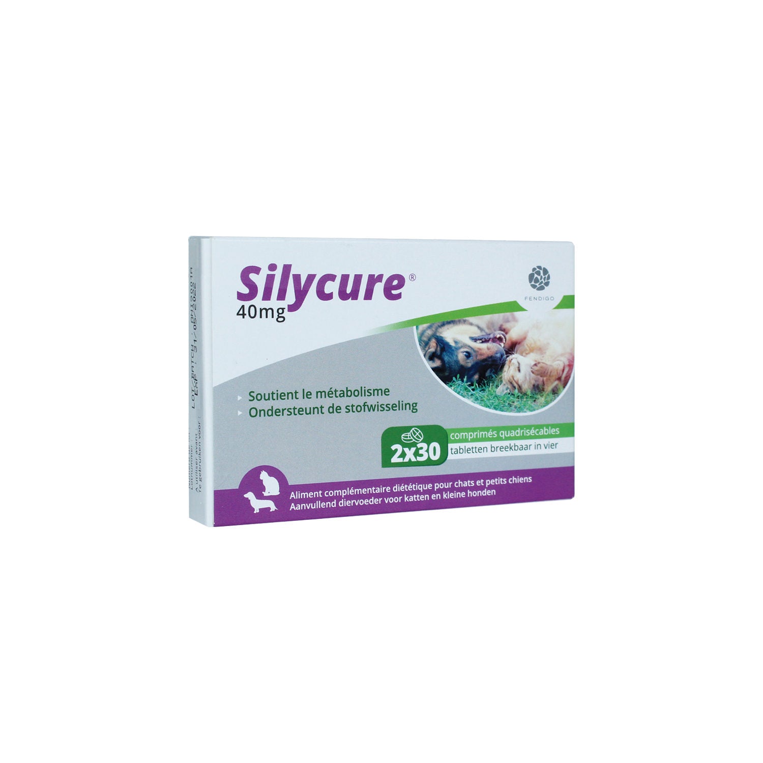  Silycure