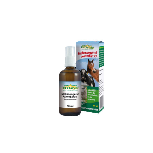  ECOstyle Melissengeist Breath Spray