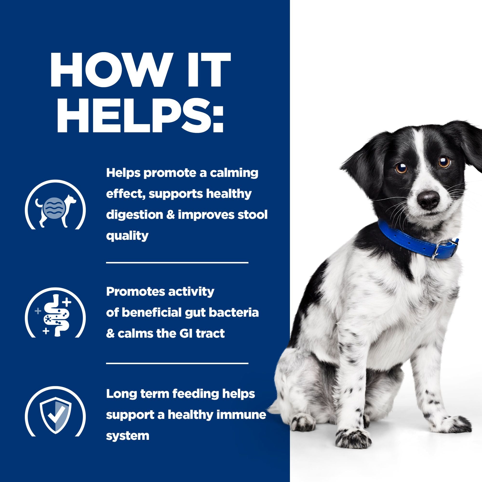  Hill's I/d Stress Mini - Digestive Care - Prescription Diet - Canine