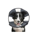  ZenPet Zen Collar