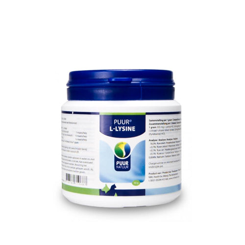  Puur L-Lysine