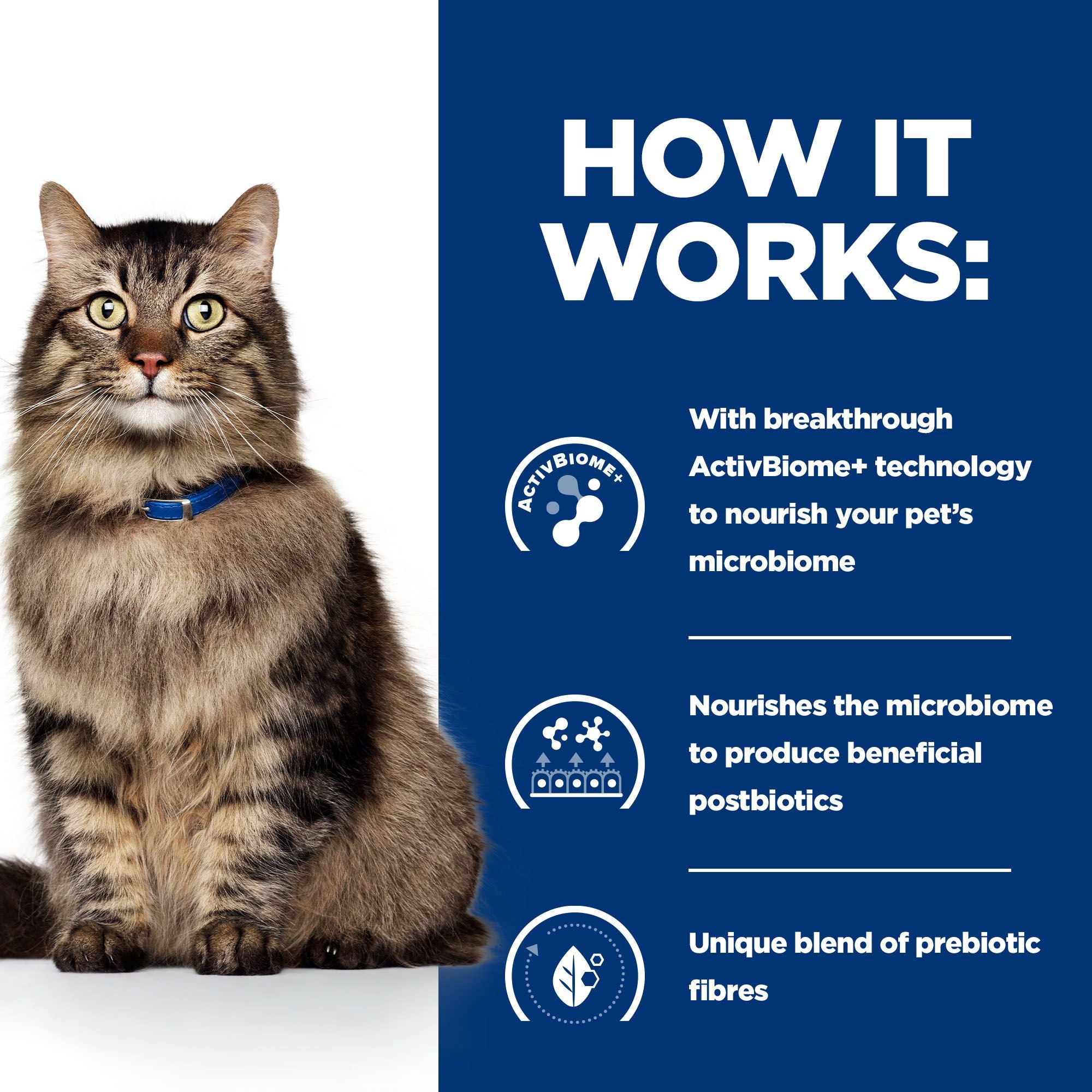  Hill's Prescription Diet - Gastrointestinal Biome Stew - Feline