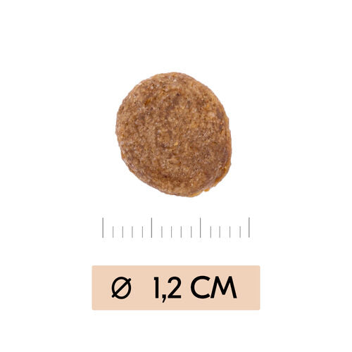  Vetality Gastrointestinal - Dog Food