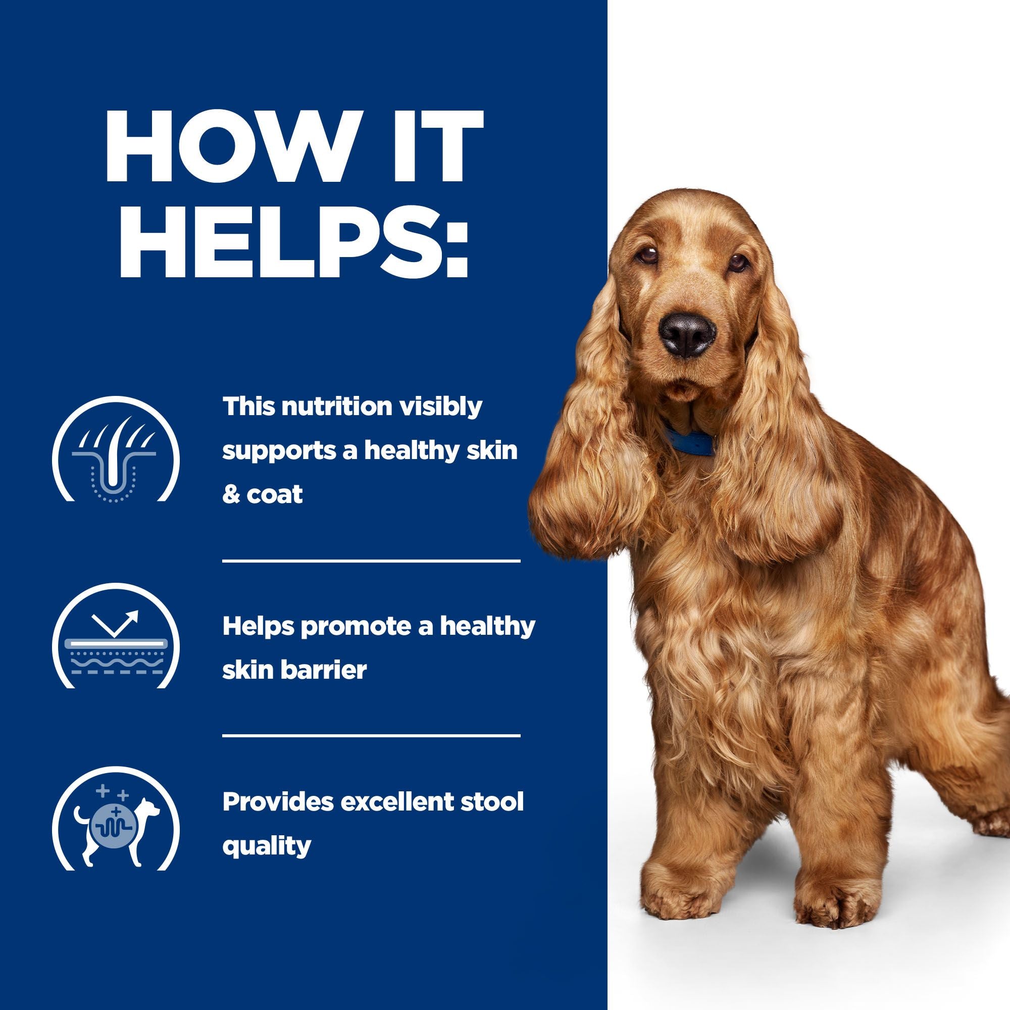  Hill's Z/d Food Sensitivities - Prescription Diet Mini - Canine - Tin