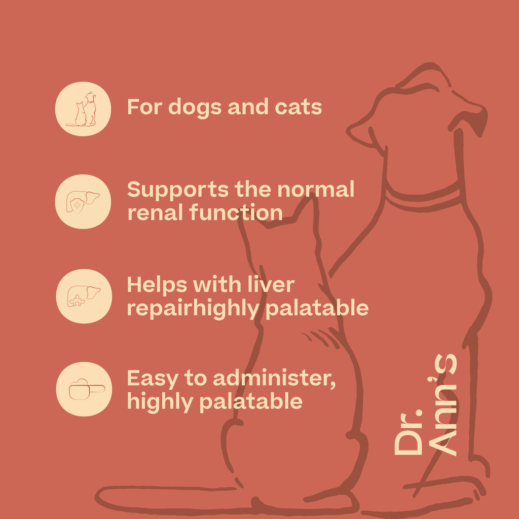  Dr. Ann’s Liver Support