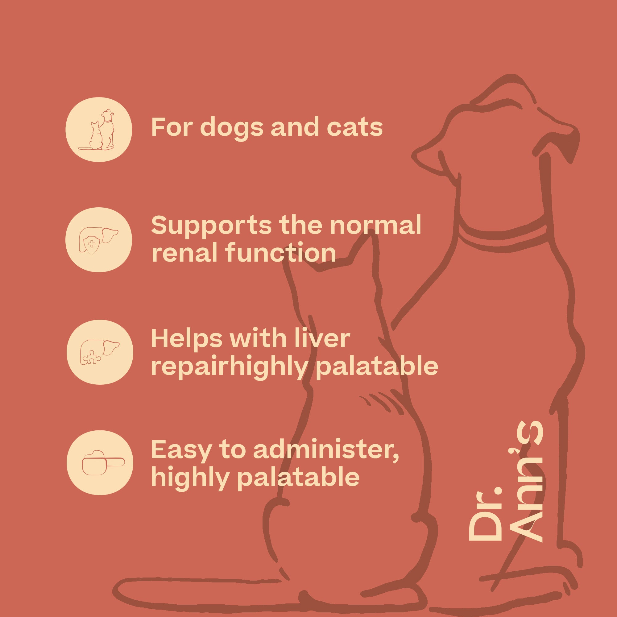  Dr. Ann’s Liver Support