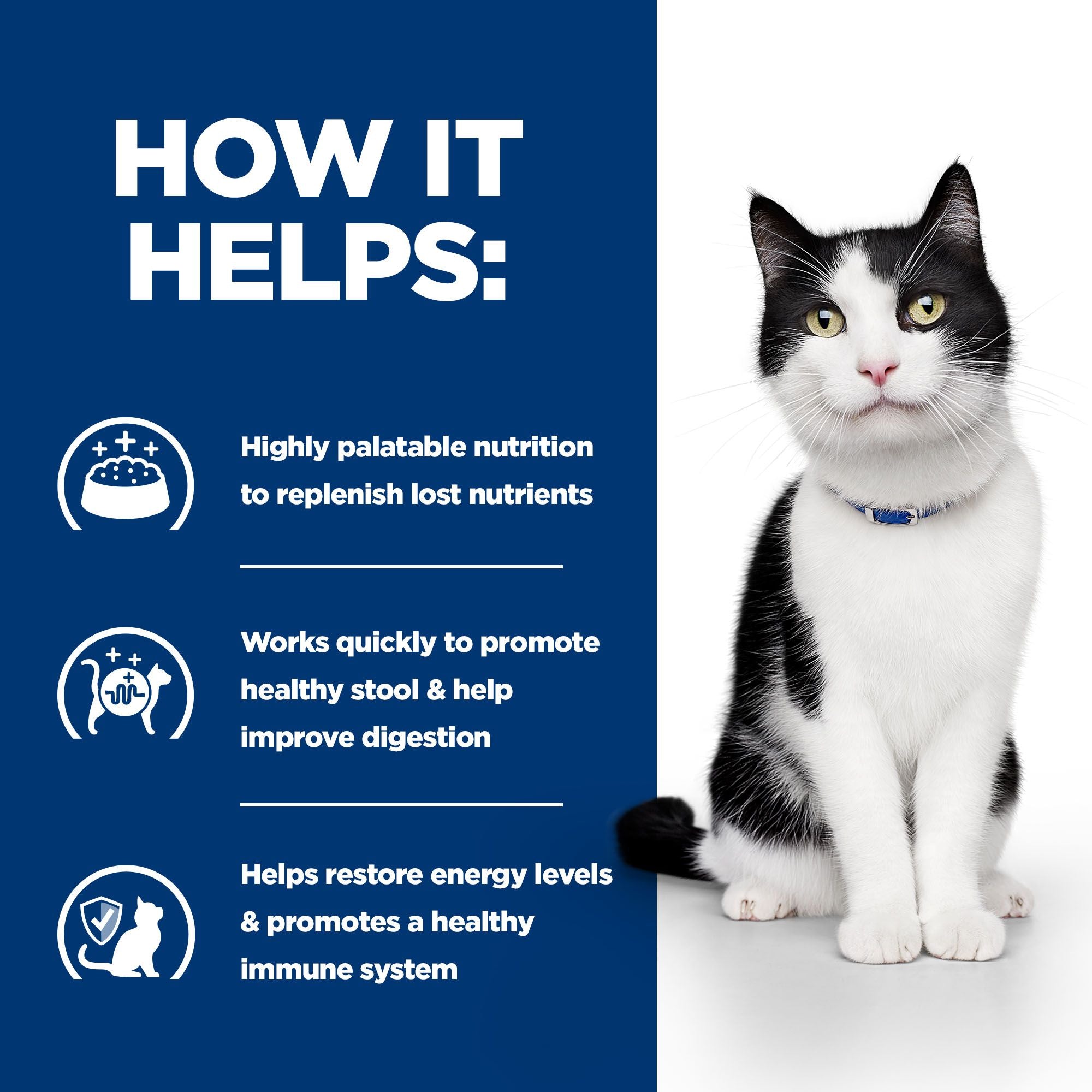 Hill's I/d Digestive Care - Prescription Diet - Feline - Meal Pouch