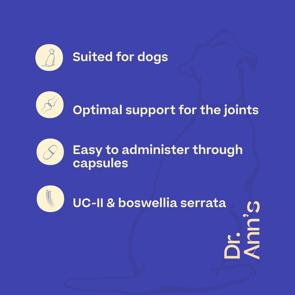  Dr. Ann's Mobility Support Advanced