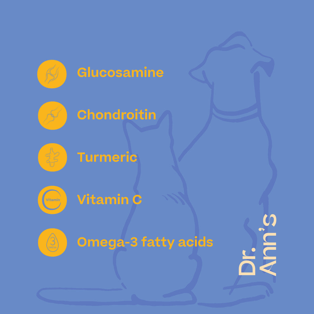  Dr. Ann's Mobility Support Plus