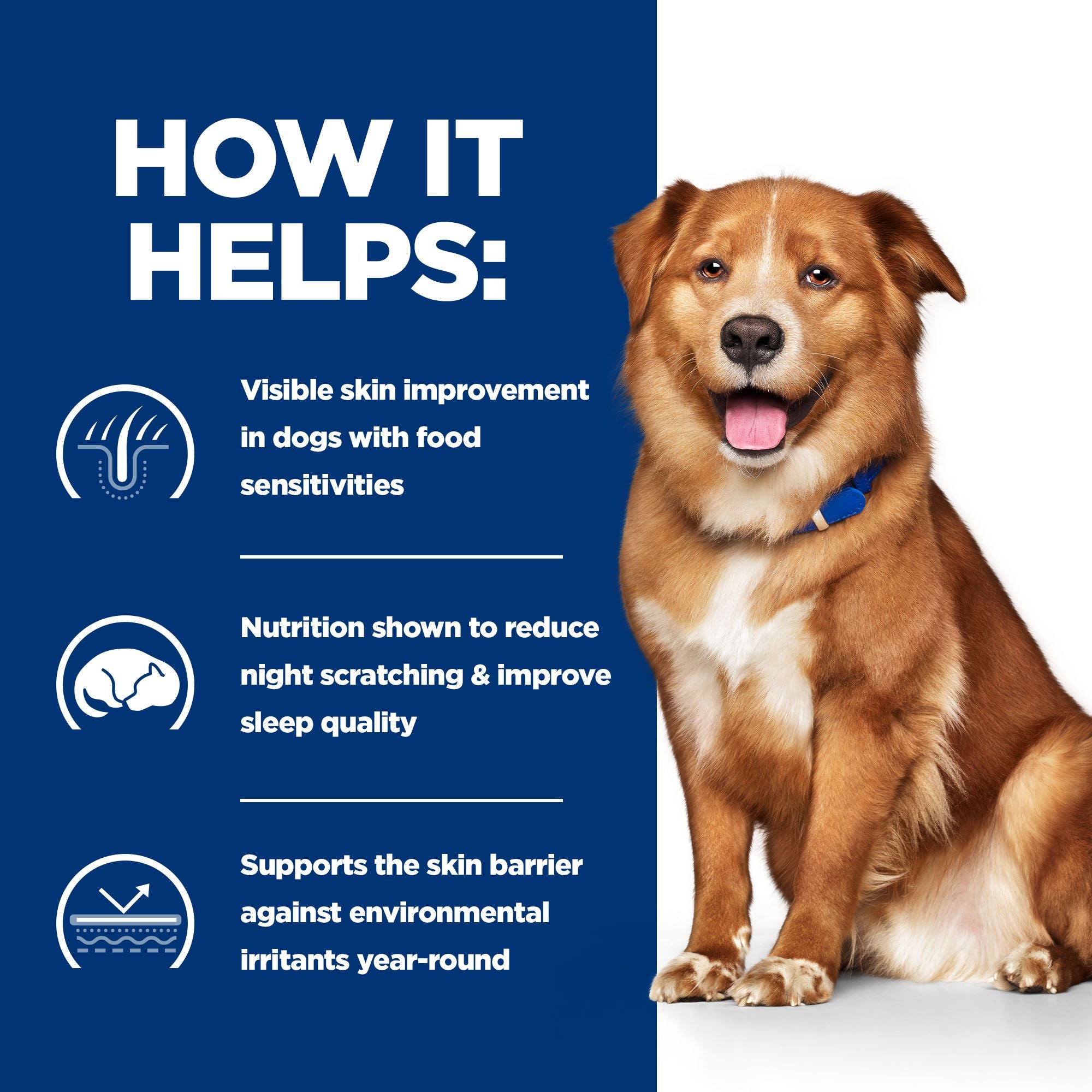  Hill's Derm Complete Wet Food - Prescription Diet - Canine