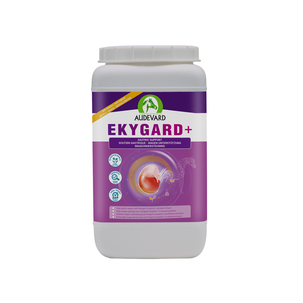  Audevard Ekygard