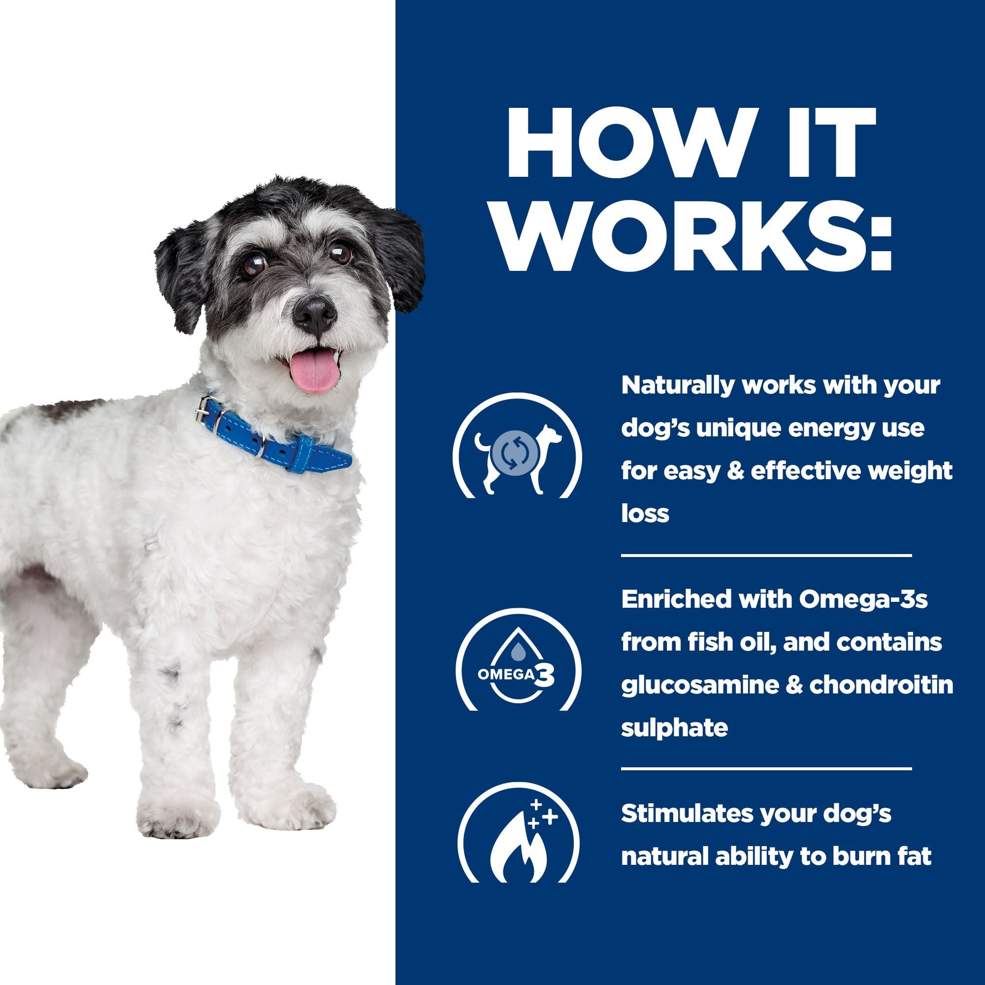  Hill's Prescription Diet Metabolic + Mobility - Canine - Mini