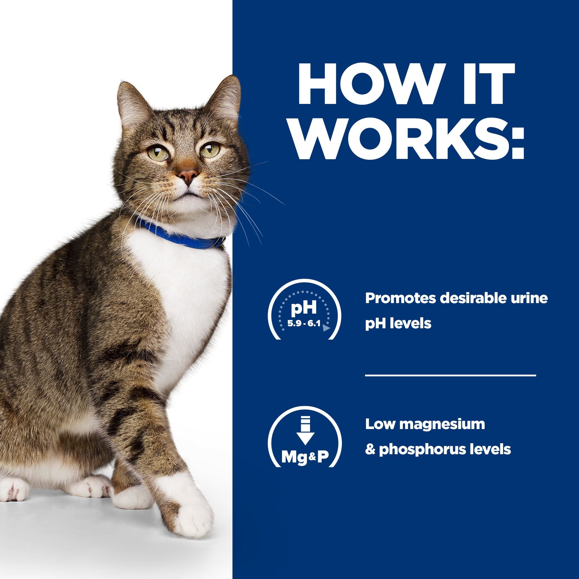  Hill's S/d Urinary Care - Prescription Diet - Feline