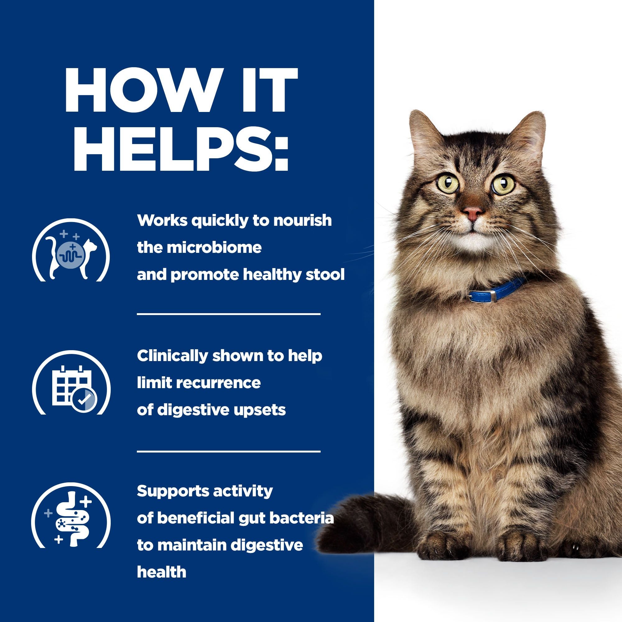  Hill's Prescription Diet - Gastrointestinal Biome Stew - Feline