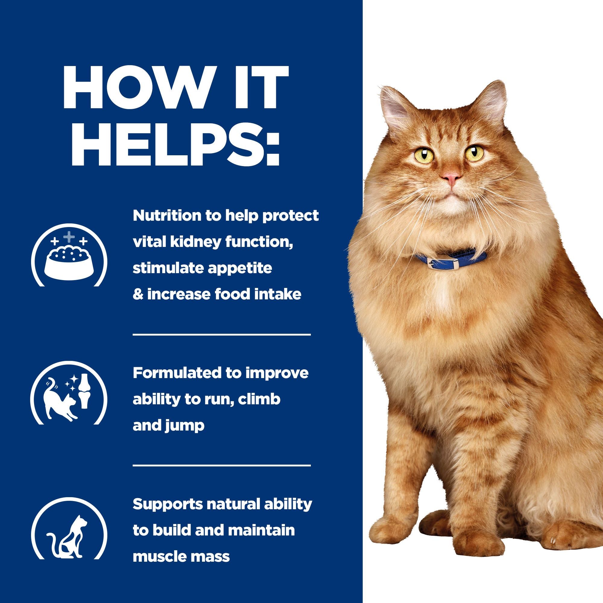  Hill's K/d + Mobility - Prescription Diet - Feline - Meal Pouch
