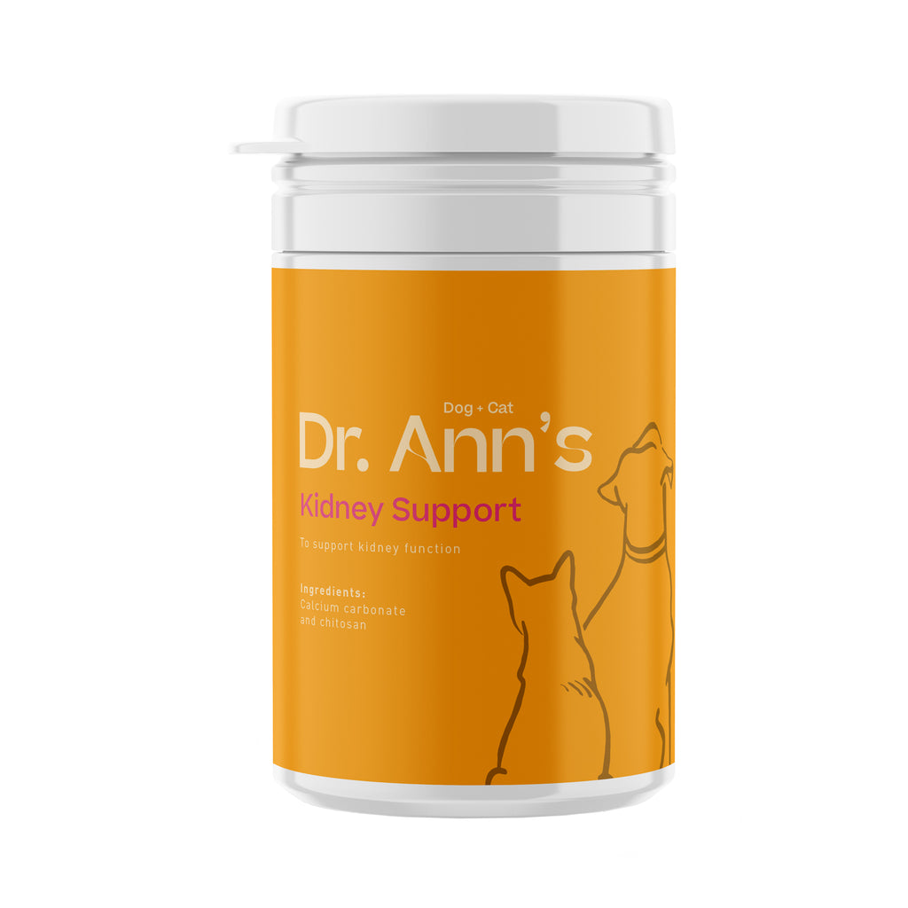  Dr. Ann's Kidney Support