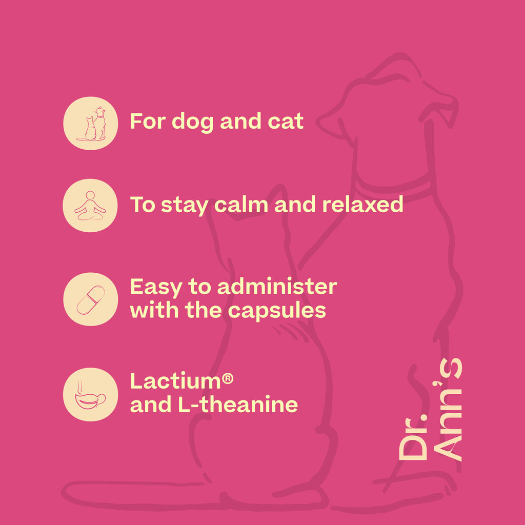  Dr. Ann's Stress Reduction