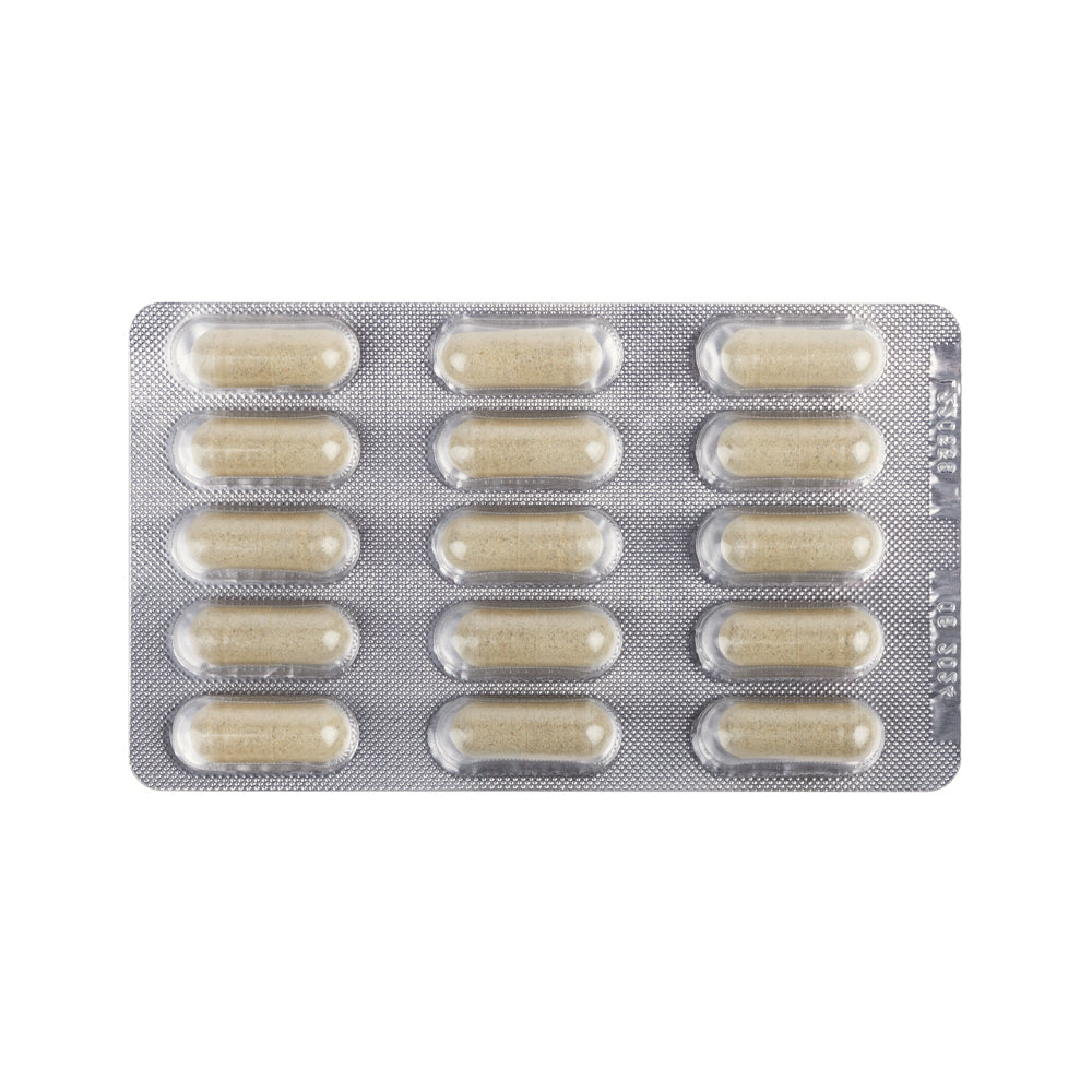  Dr. Ann's Mobility Support Advanced