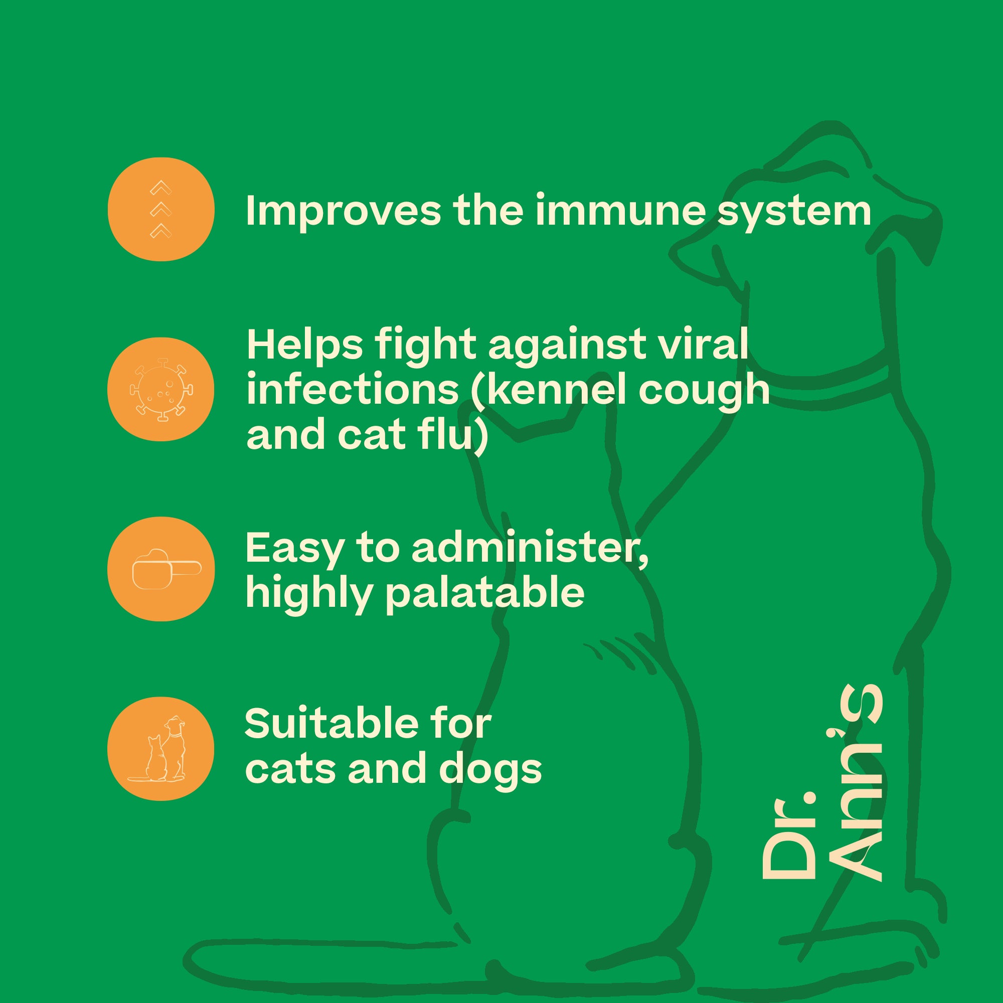  Dr. Ann's L-Lysine