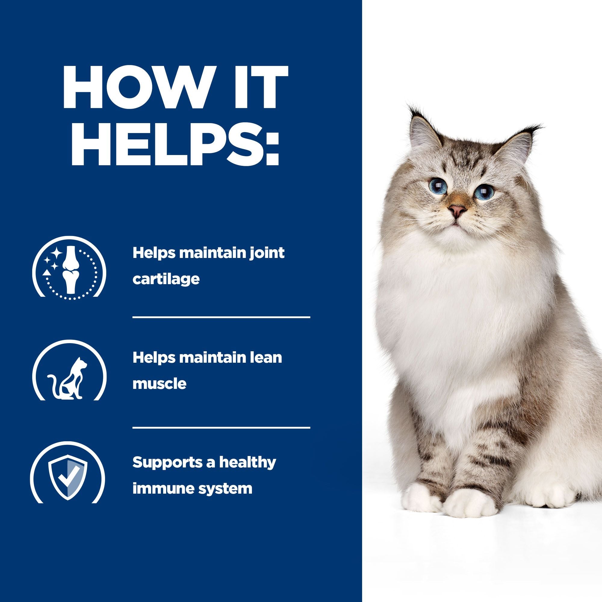  Hill's J/d Joint Care - Prescription Diet - Feline