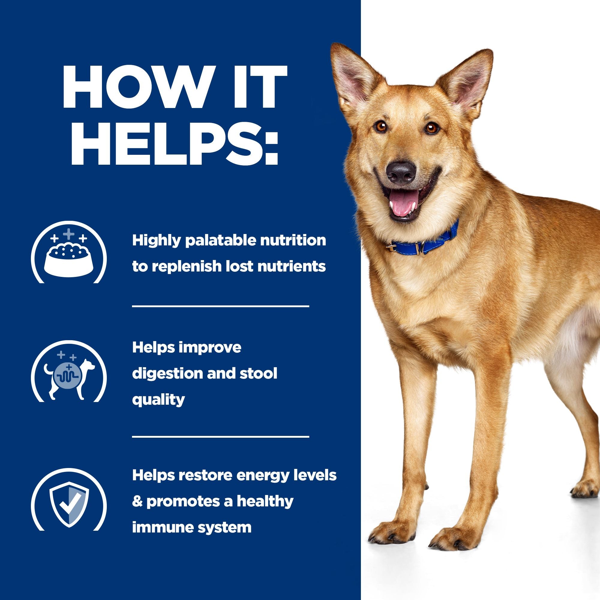  Hill's I/d Digestive Care Stew - Prescription Diet - Canine