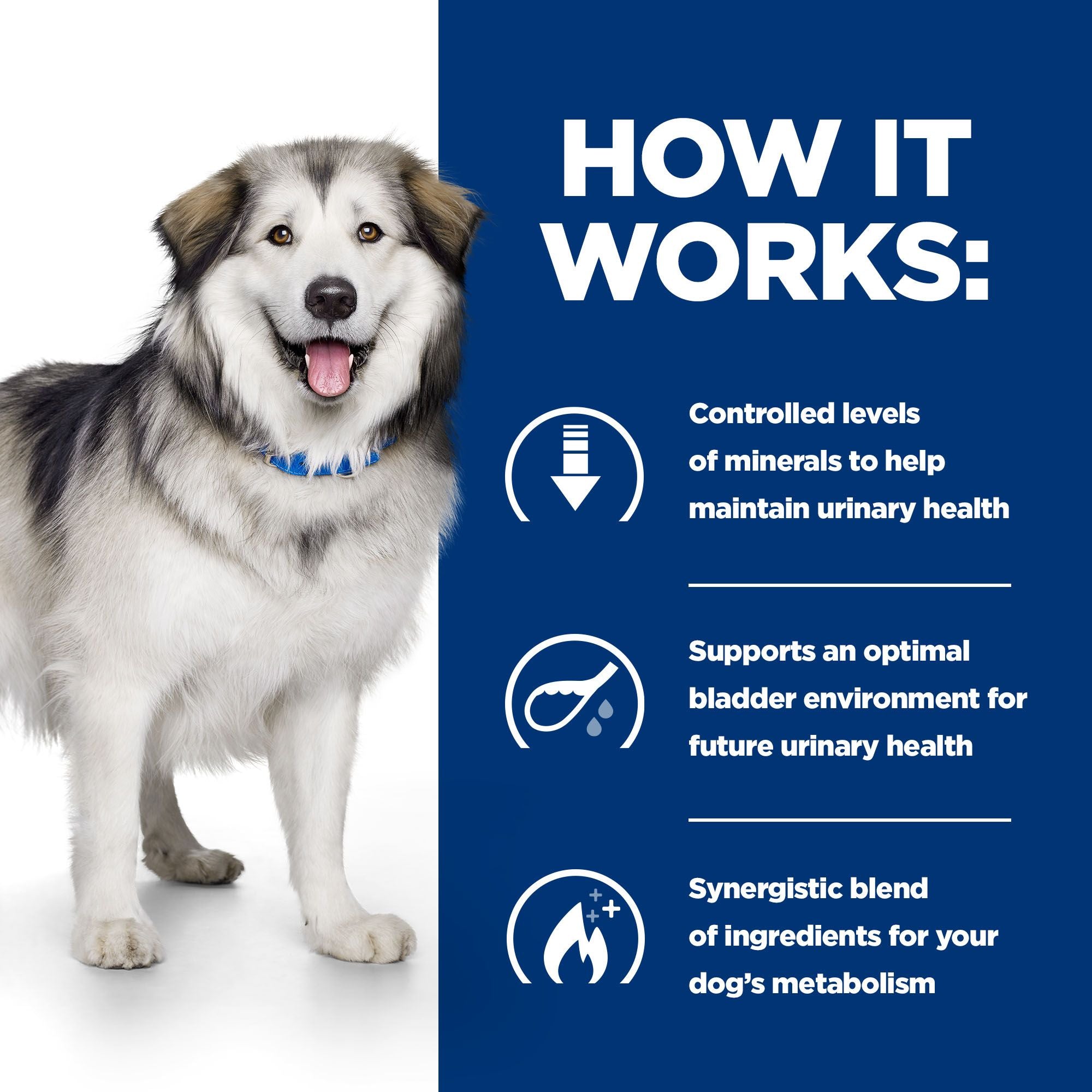  Hill's Prescription Diet - Canine - C/d Multicare + Metabolic