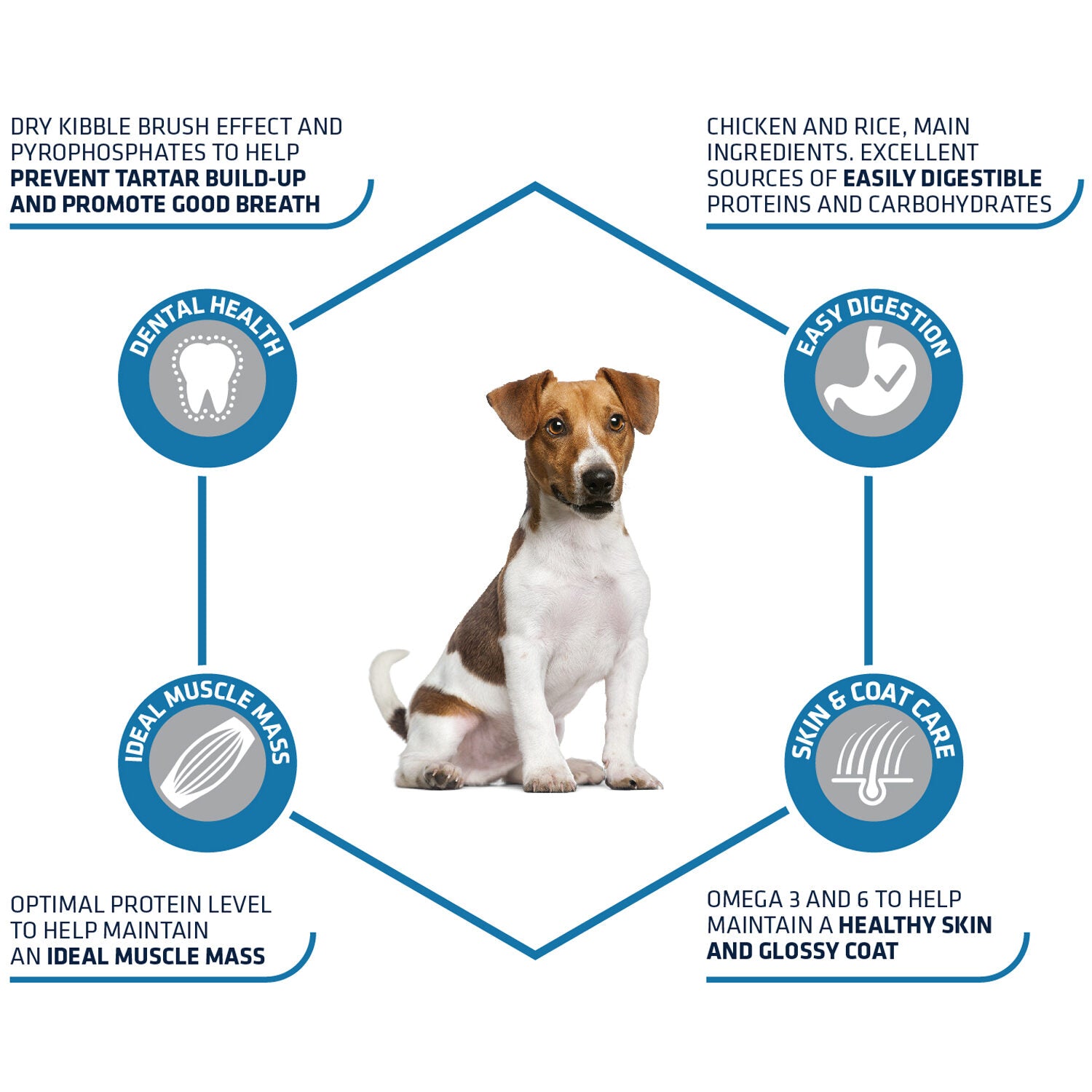  Affinity Advance Adult Mini - Dog 