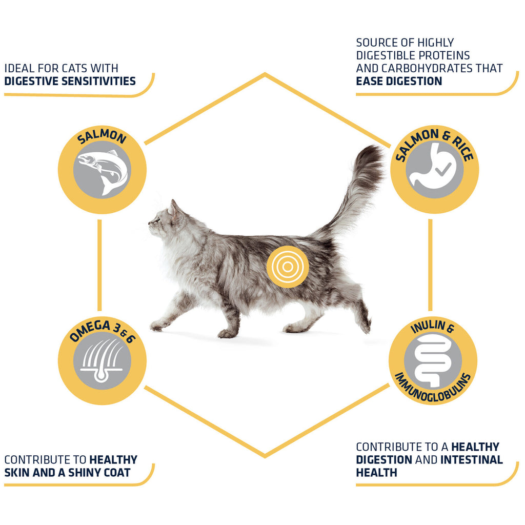  Affinity Advance Adult Salmon Sensitive - Cat