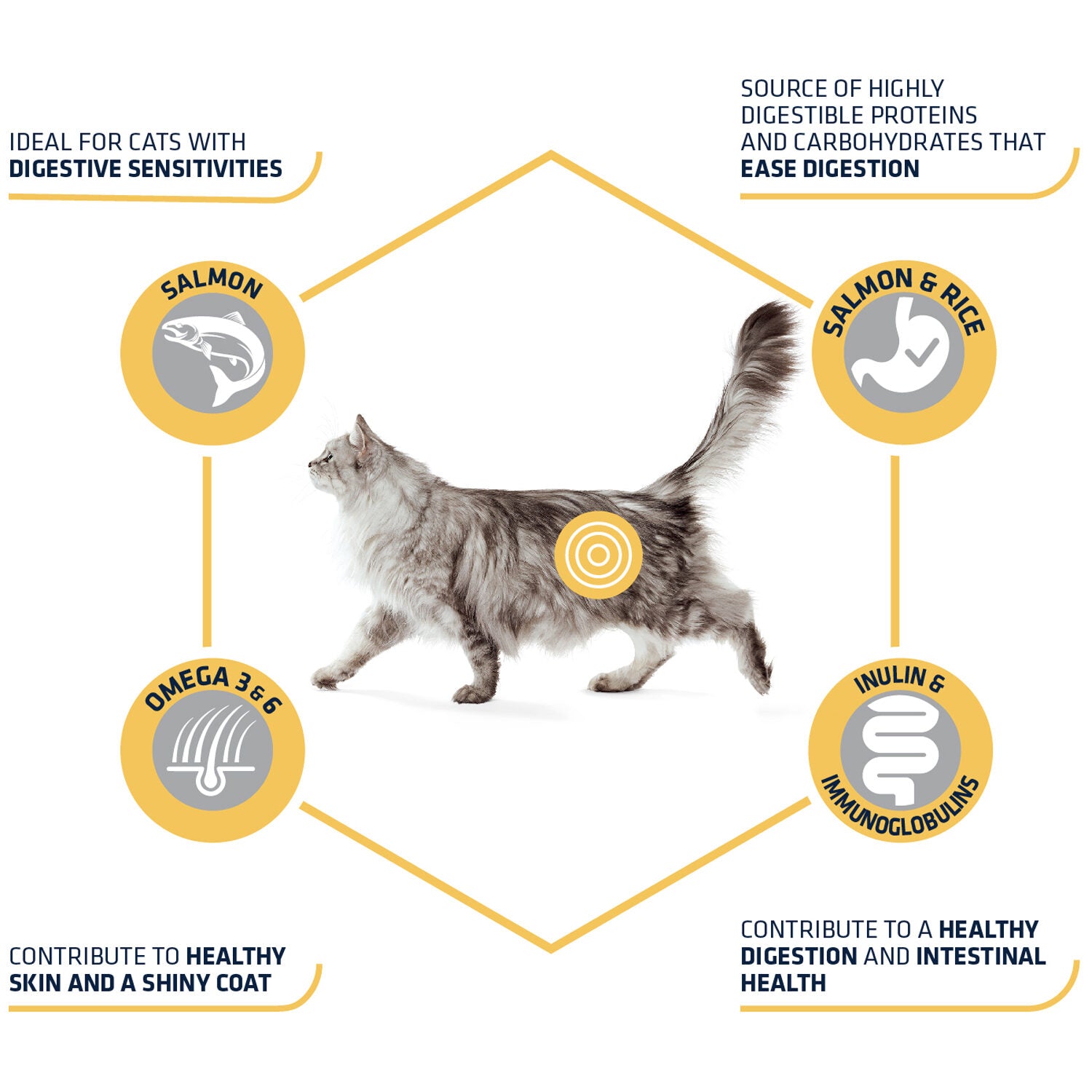  Affinity Advance Adult Salmon Sensitive - Cat