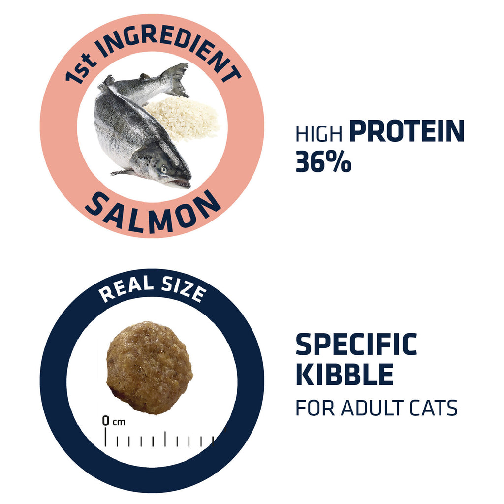  Affinity Advance Adult Salmon Sensitive - Cat